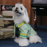 BELO Green Plaid Dog Shirt – Trendy Check Pet Tee - TAHUPET.co