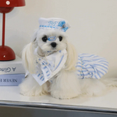 BELO Navy Stripe Dog Dress, Stylish Pet Overall - TAHUPET.co