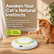 Interactive Mushroom Whack-A-Mole Cat Toy