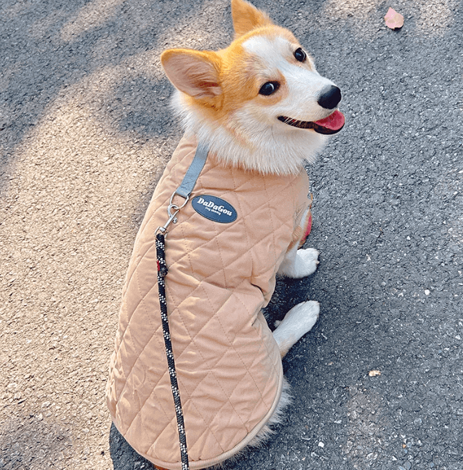 Padded Dog Vest with Leash Clip – Thick Fleece Winter Warmth