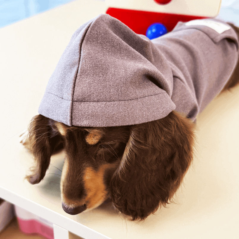 Winter Pet Hoodie – Soft Cozy Dog Sweatshirt