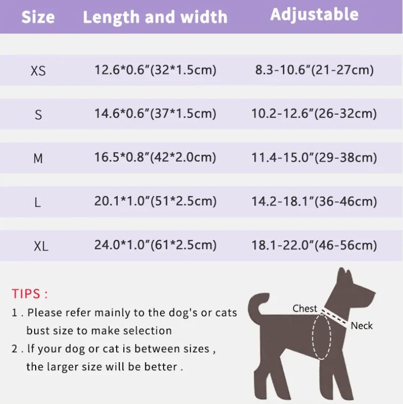 BELO No-Pull Dog Collar – Durable Anti-Pull Training Collar for Small & Medium Dogs - TAHUPET.co