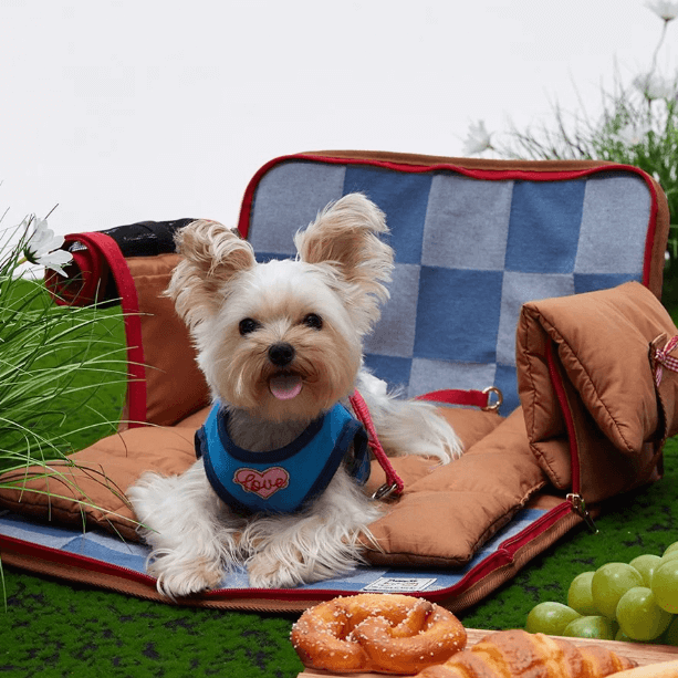 Denim Pet Carrier Bag – Adjustable Shoulder Strap with Safety Leash