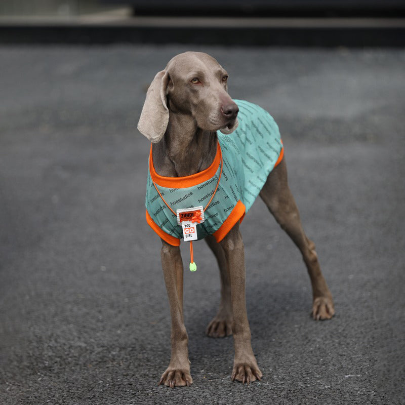 Sport Mesh Tank Top T Shirt Big Dog Clothes - PIKAPIKA