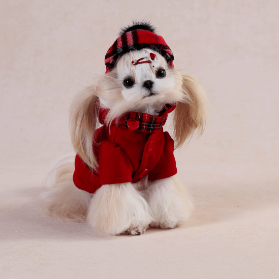 Dog Coat Red Plush New Year Outfit for Maltese Shih Tzu Size XS-XXL