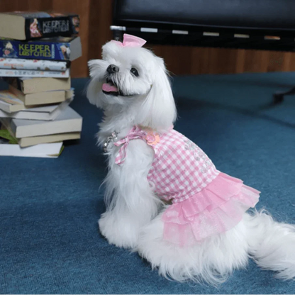 BELO Bubble Skirt Pet Dress in Pink – Cute Dog / Puppy Dress Outfit - TAHUPET.co