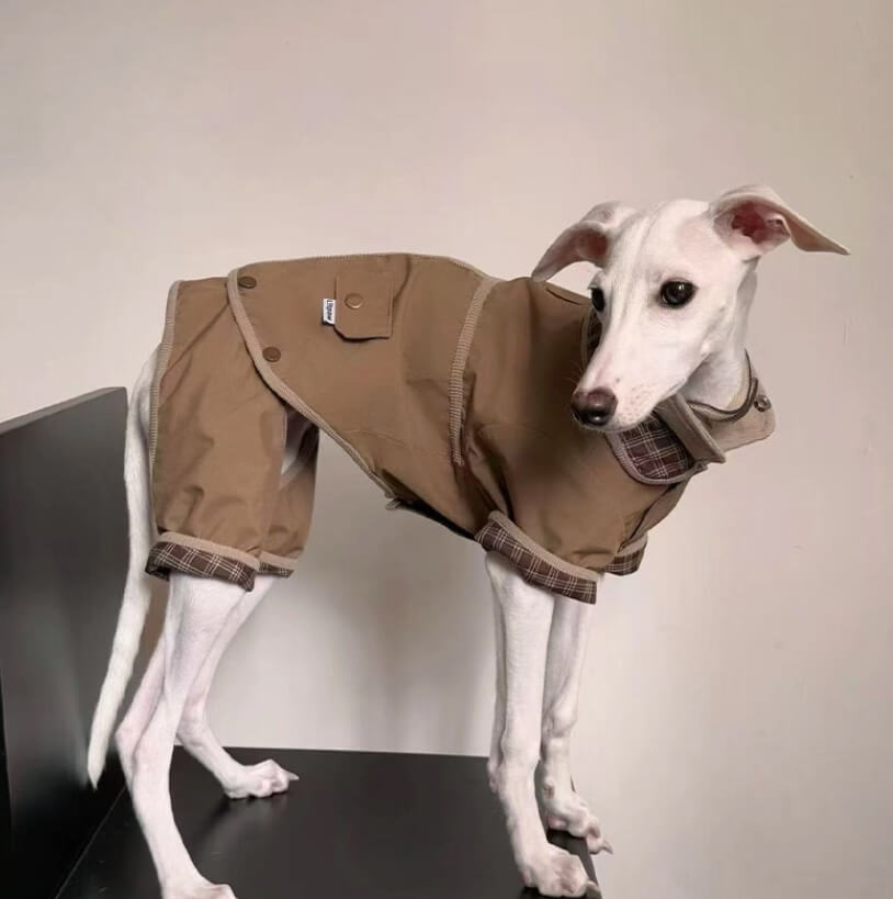 British Style Dog Coat – Retro Warm Cotton-Lined Jacket