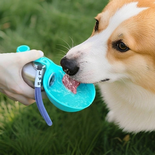 2-in-1 Portable Dog Water Bottle with Bowl