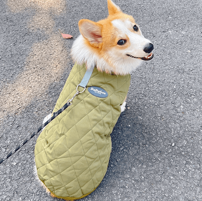 Padded Dog Vest with Leash Clip – Thick Fleece Winter Warmth
