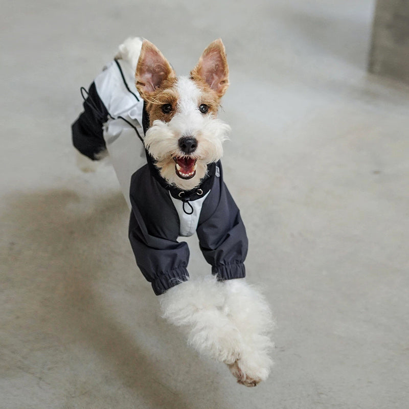 Outdoor Jacket Waterproof Windproof Raincoat Italian Greyhound Whippet Clothes - PIKAPIKA