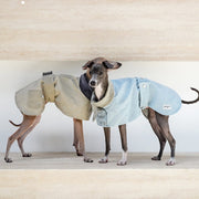 Waxed Trench Coat Jacket Cape for Italian Greyhound Whippet
