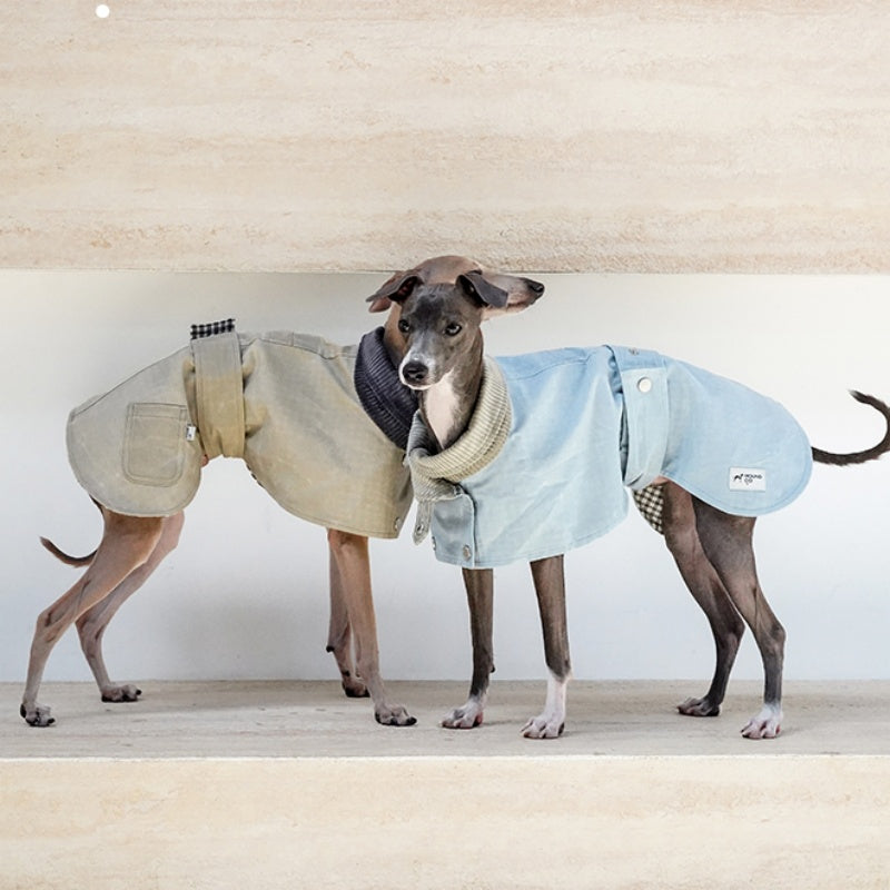 Waxed Trench Coat Jacket Cape for Italian Greyhound Whippet