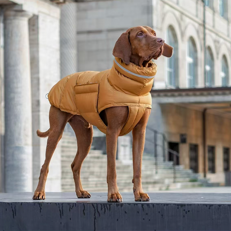 Cotton Padded Jacket Vest for Italian greyhound Whippet - PIKAPIKA