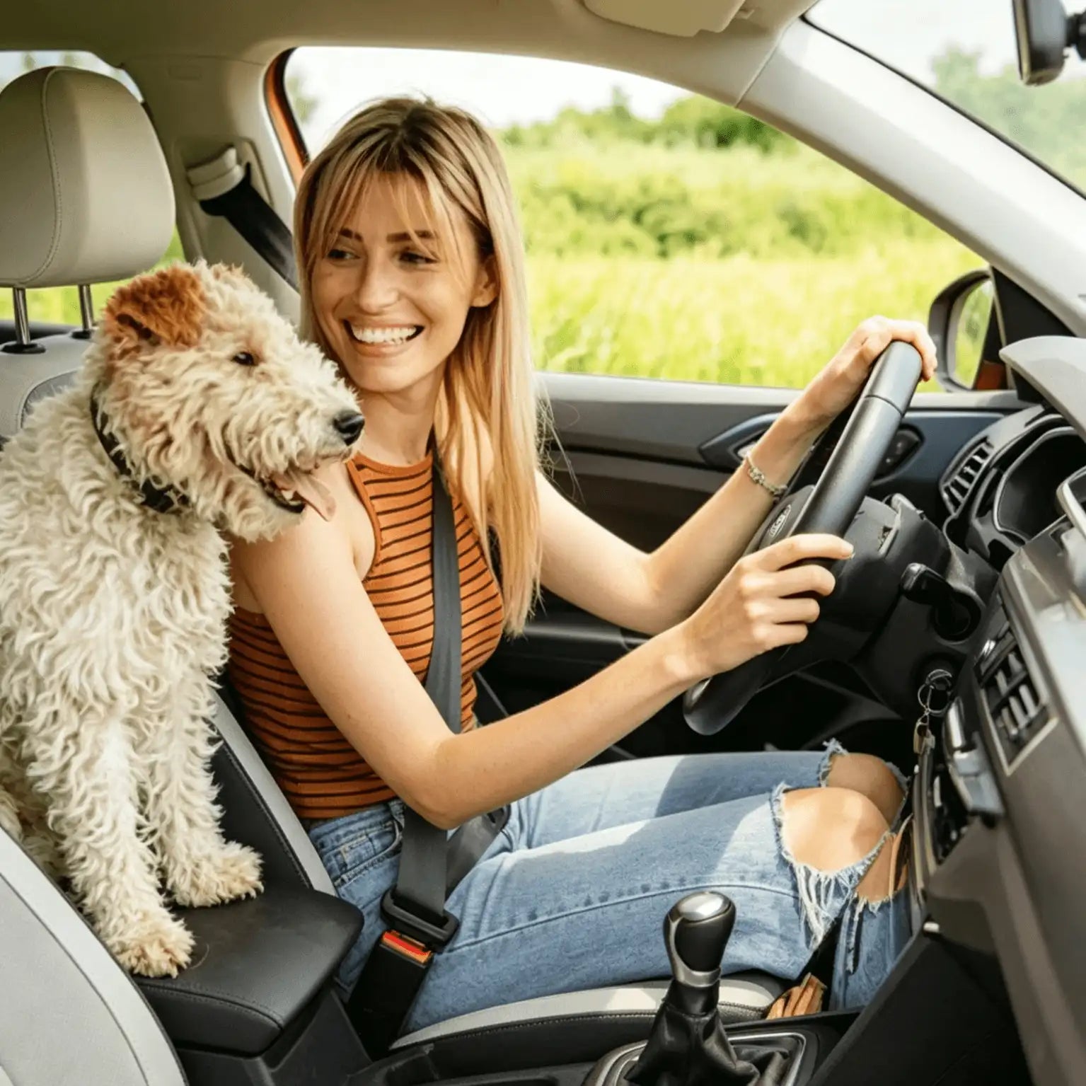 Amplify Their Yippee on the Road!