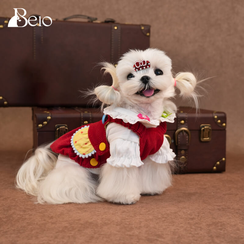 Pumpkin Overall Dog Dress – Cute Red Suspender Outfit