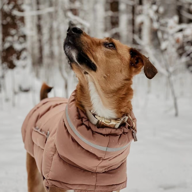 Cotton Padded Jacket Vest for Italian greyhound Whippet - PIKAPIKA