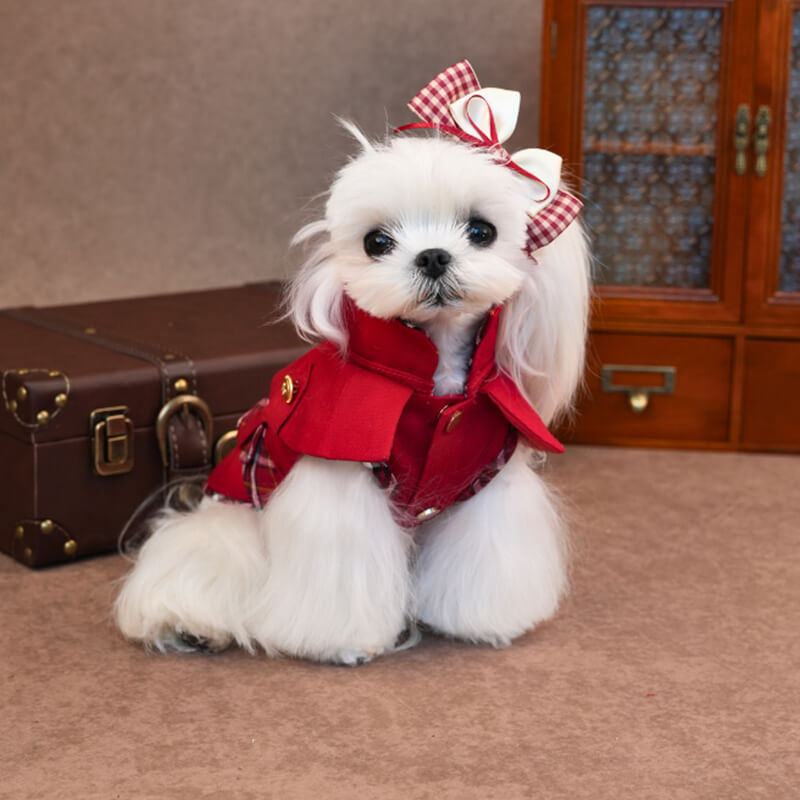 Elegant British Style Dog Dress – Classic Red Plaid Coat Outfit