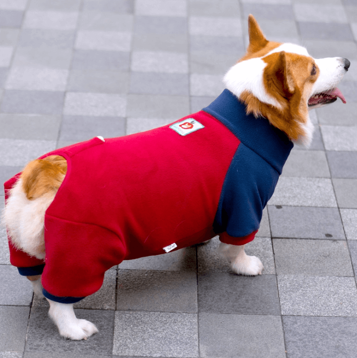 Corgi Belly Protector Dog Clothes – Soft Warm 4-Legged Outfit