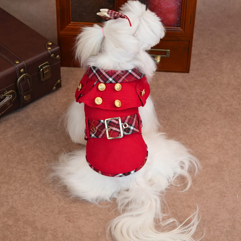 Red Knight Dog Coat – British Style Pet Jacket