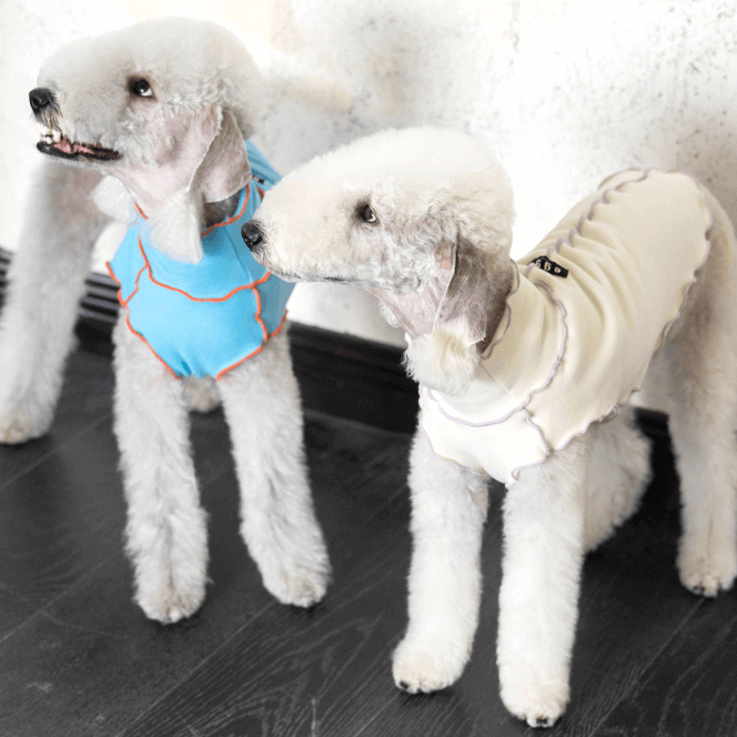 Color Block Dog Vest - Plush Thermal Wear