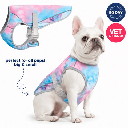Beat the Heat: Instant Dog Cooling Vest