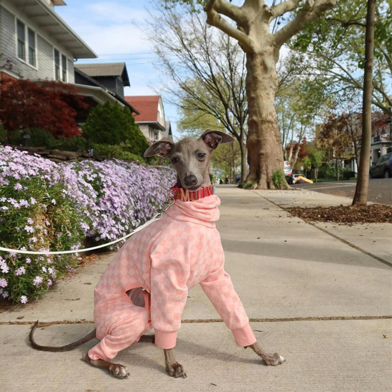 Plaid Onesie for Italian Greyhound Whippet Dog Clothes - PIKAPIKA