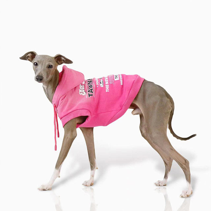 Pink Cotton Hoodie Italian Greyhound Whippet Dog Clothes - PIKAPIKA