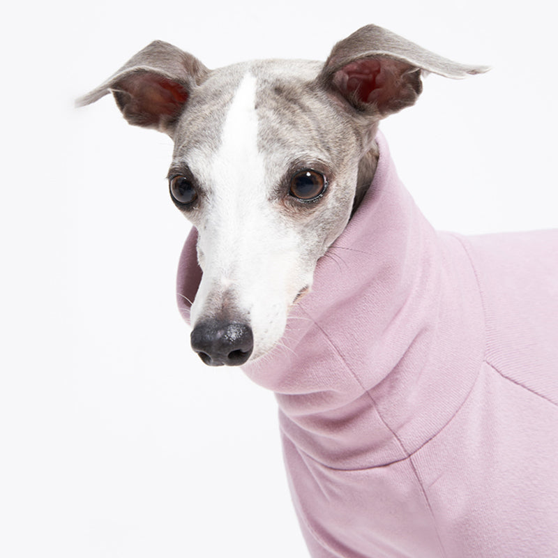 Soft Cotton Onesie for Italian Greyhound Whippet Dog Clothes - PIKAPIKA