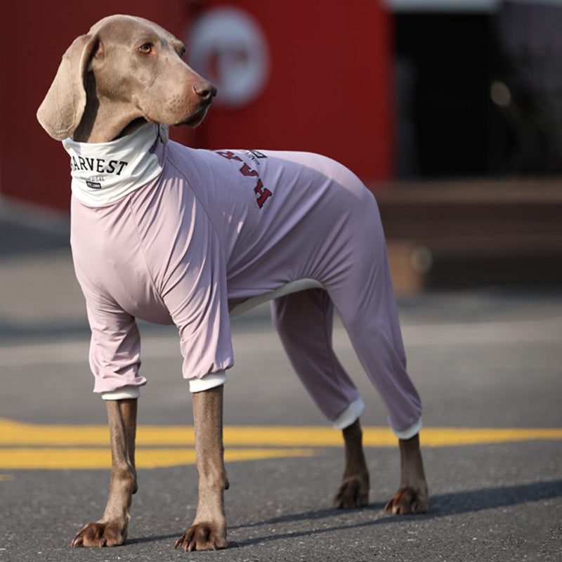 UPF50+ Soft Cotton Breathable Onesie Big Dog Clothes - PIKAPIKA