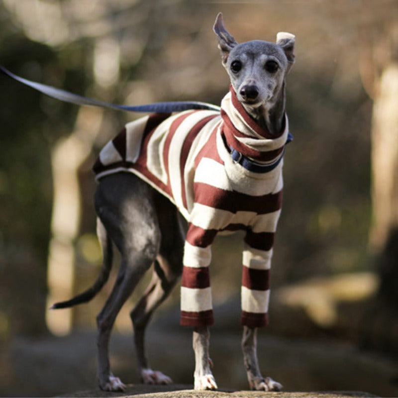Cotton Stripe Onesie Whippet Dog Clothes - PIKAPIKA