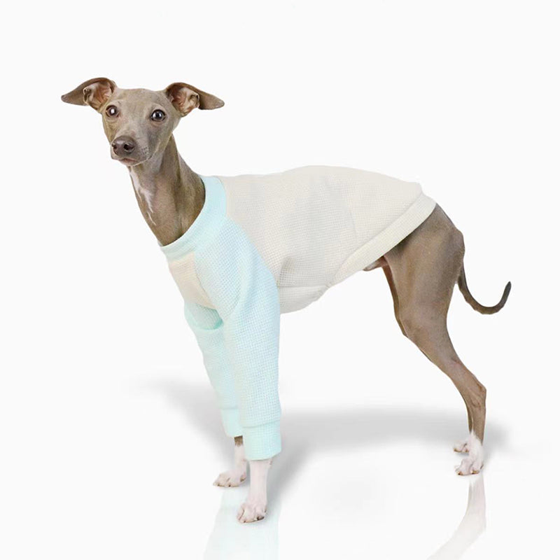 Cotton Soft Shirt Italian Greyhound Whippet Dog Clothes - PIKAPIKA