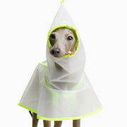 Waterproof Outdoor Raincoat Jacket Italian Greyhound Whippet Dog Clothes - PIKAPIKA