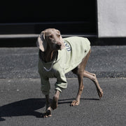 Cotton Breathable Hoodie Big Dog Clothes - PIKAPIKA