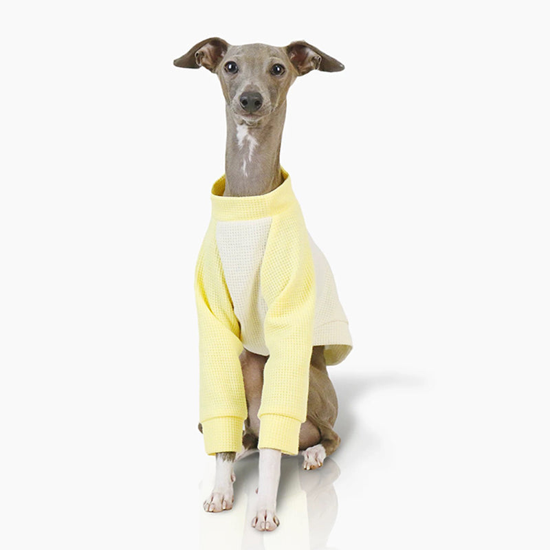 Cotton Soft Shirt Italian Greyhound Whippet Dog Clothes - PIKAPIKA