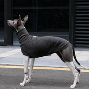 High-Neck Thermal Base Shirt Italian Greyhound Whippet Clothes
