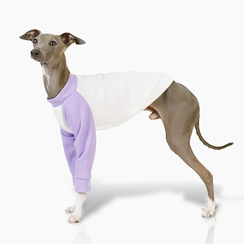 Cotton Soft Shirt Italian Greyhound Whippet Dog Clothes - PIKAPIKA