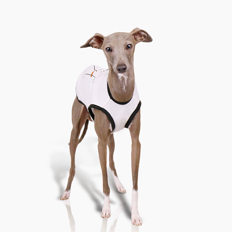 Cotton Soft Tank Top Shirt Italian Greyhound Whippet Dog Clothes - PIKAPIKA