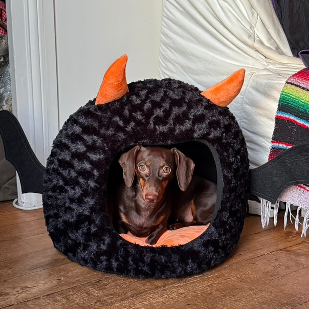 Halloween Little Devil Cartoon Eggshell Pet Bed Warm Semi-Enclosed Cat Dog House