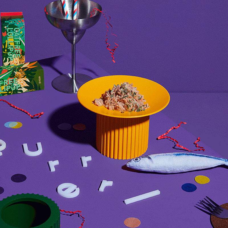 Cat Raised Food Bowl Feeder and Waterer - PIKAPIKA