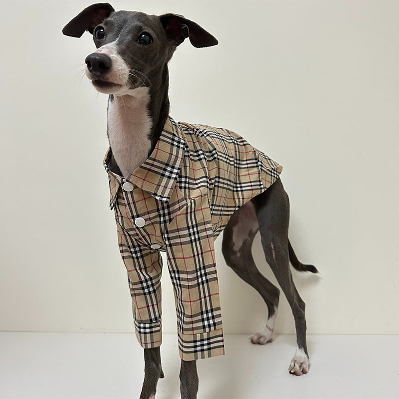 Soft Cotton Shirt for Italian Greyhound Whippet Dog Clothes - PIKAPIKA