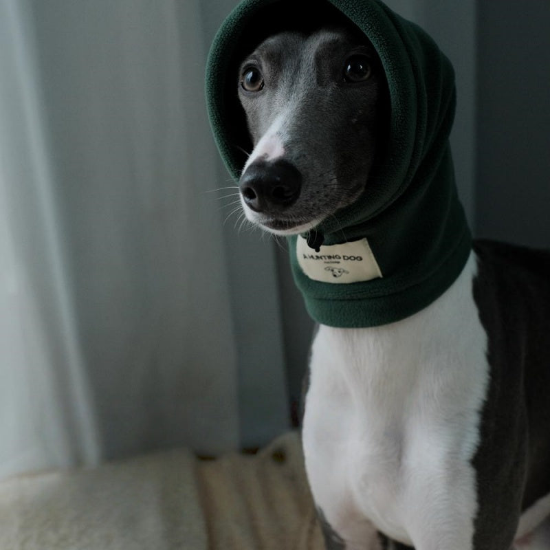 Thermal Windproof Hat Italian Greyhound Whippet Winter Dog Hat
