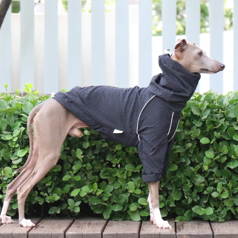 Waterproof Reflective  Jacket Italian Greyhound Whippet Raincoat