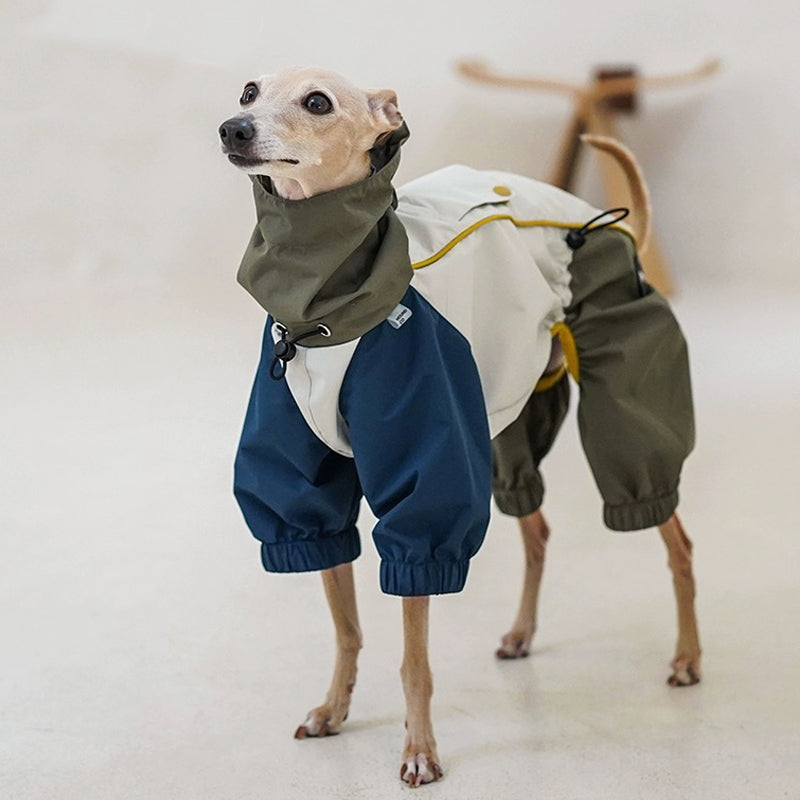 Outdoor Jacket Waterproof Windproof Raincoat Italian Greyhound Whippet Clothes - PIKAPIKA