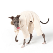 Thick Fleece Warm Jumpsuit for Bedlington & Whippet Dogs