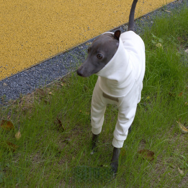 Warm Turtleneck Dog Onesies Fall Winter Pet Outfit  Italian greyhound Whippet Clothes