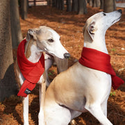 Christmas Warm Cotton Red Scarf Greyhound Whippet Dog Scarf