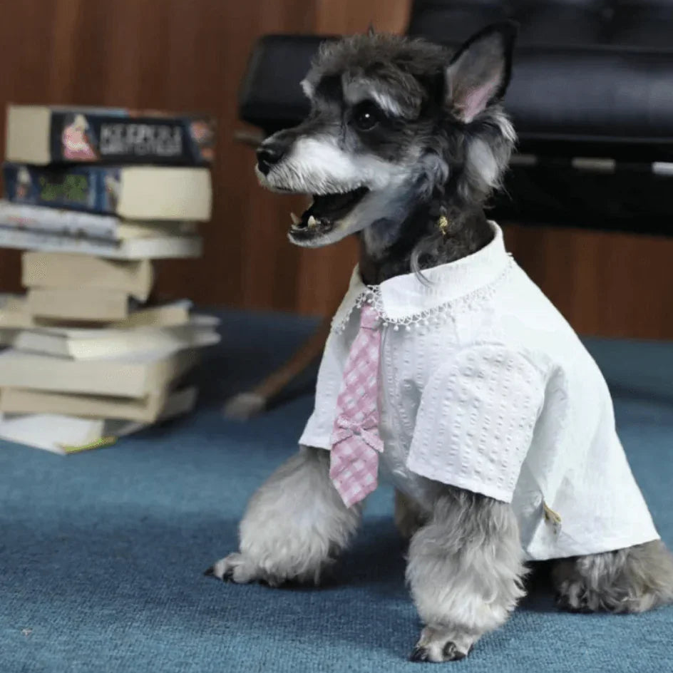 BELO Pink & White Dog Shirt with Tie - TAHUPET.co
