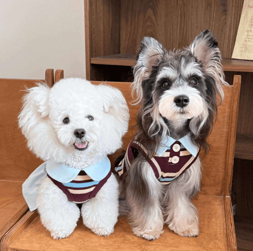 Pet Vest Plush Lined Sleeveless Dog Top Pink Size XXS-XL