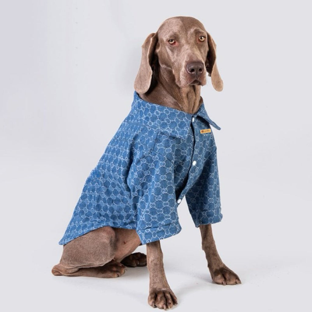 Denim Shirt Big Dog Clothes Cotton Soft Spring