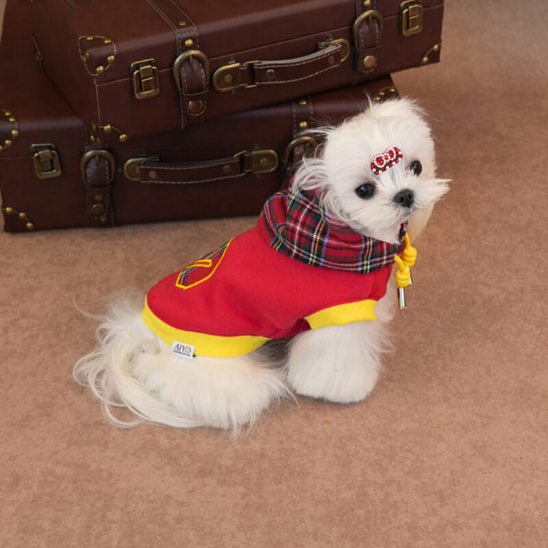 Horse Embroidered Dog Hoodie – Classic Plaid Sweatshirt